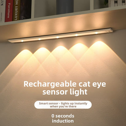 Intelligent Led Human Body Sensor Light