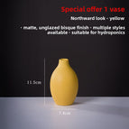 Northern Look-Yellow