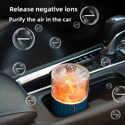 Himalayan Salt Lamp with Aromatherapy