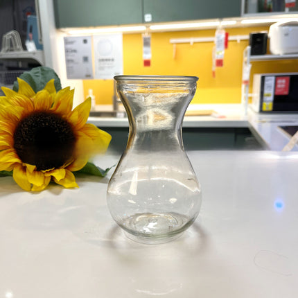 Glass Vase