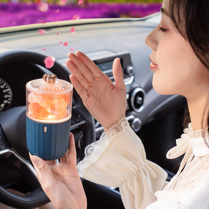 Himalayan Salt Lamp with Aromatherapy