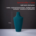 Light Warm - Dark Green