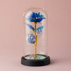 Black Sea Gold Flower